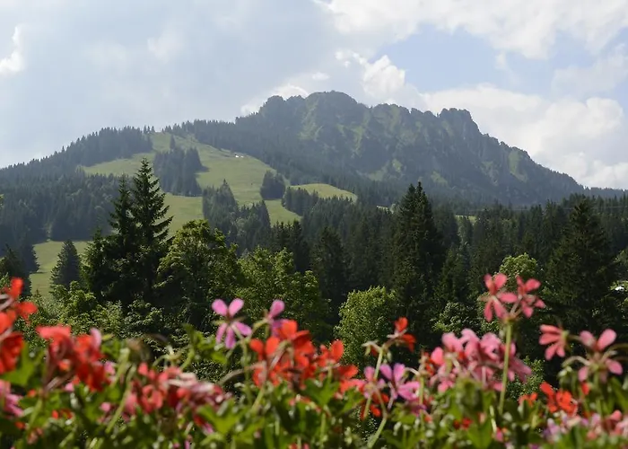 Haus Am Anger - Romantik-beauty-wellness Jungholz